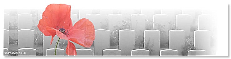 Poppy-Crosses_80x16