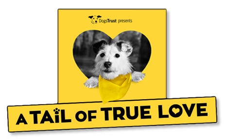 DogTrust-Tail